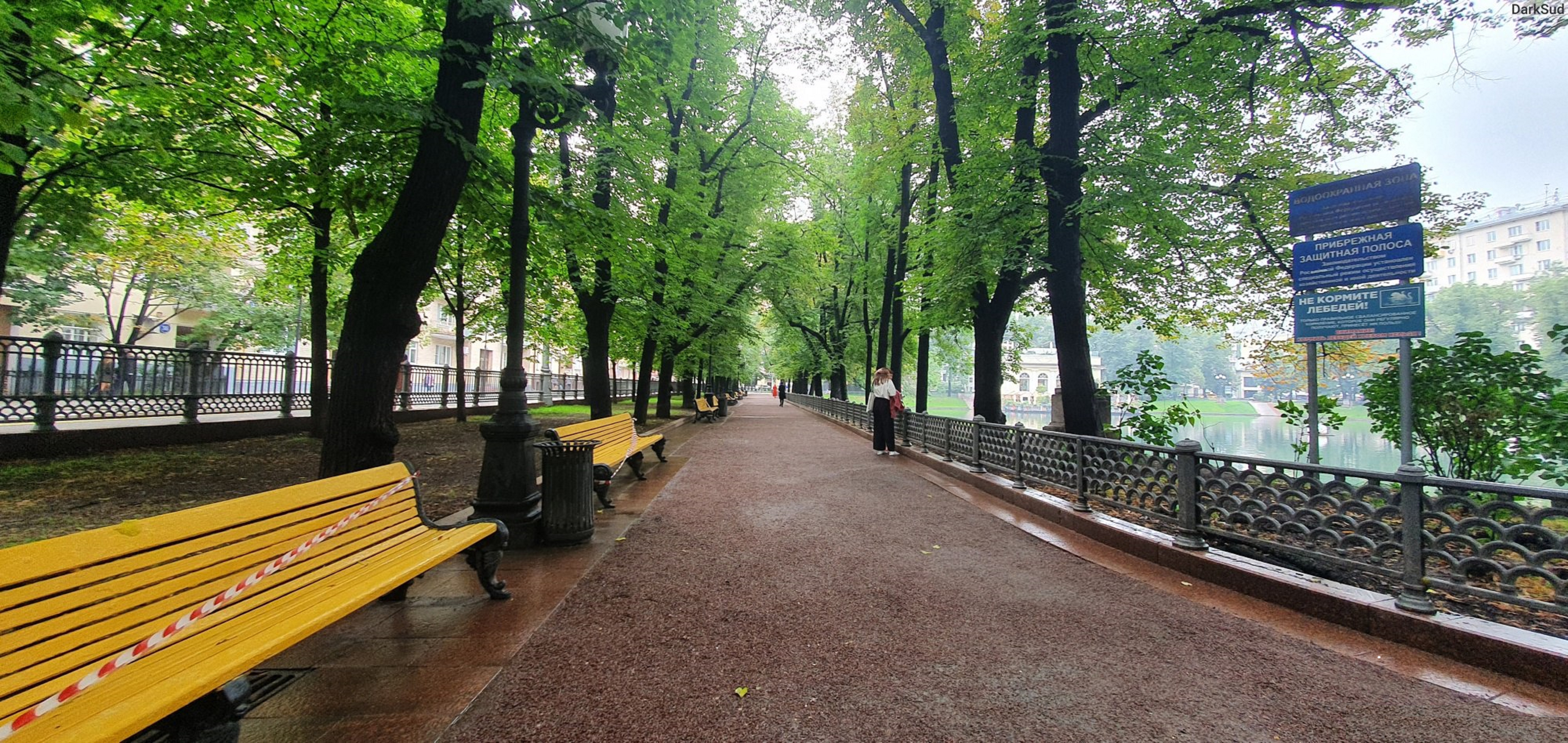 Фото пруд аллея